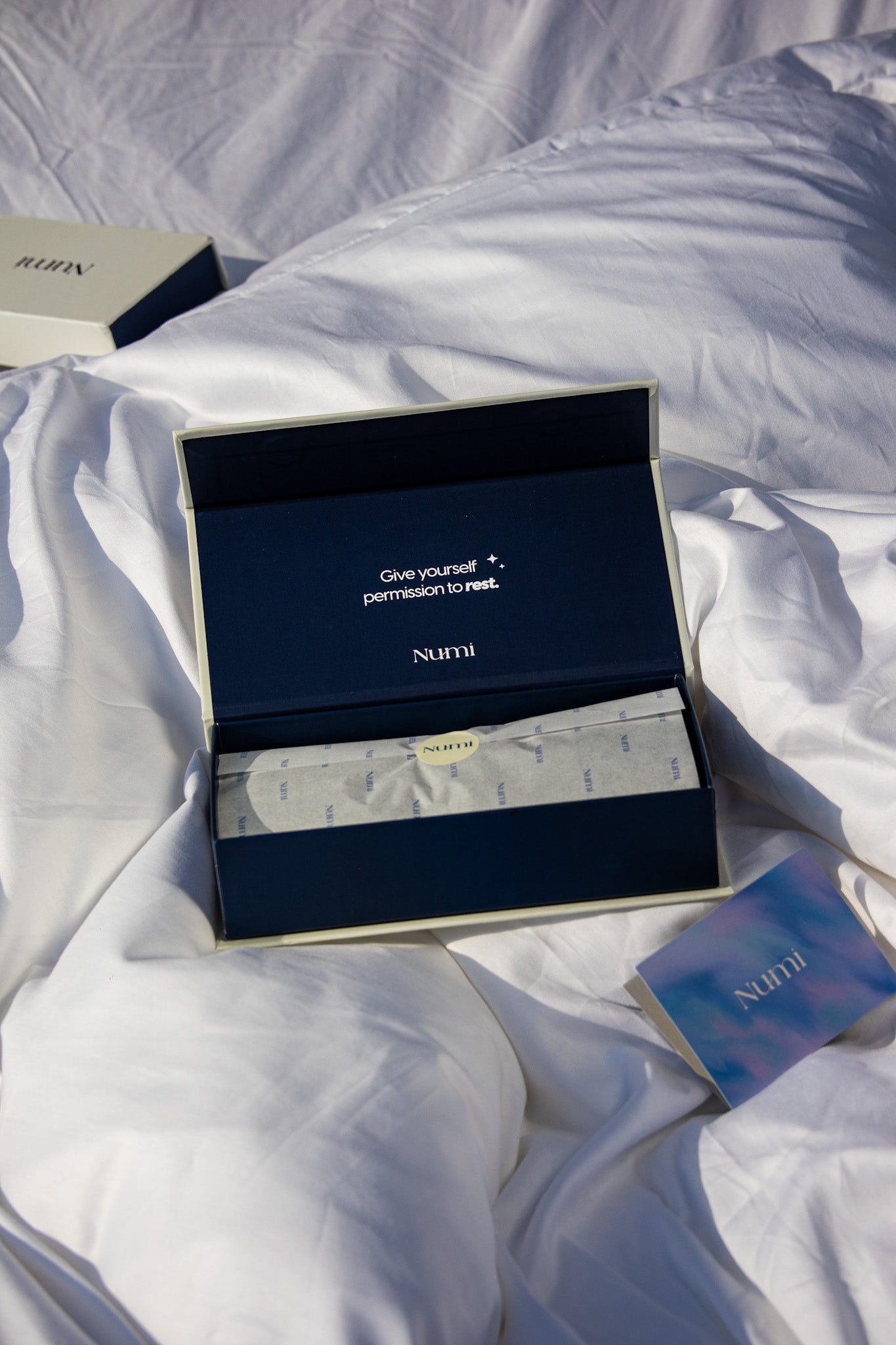 Numi ™ - 100% Silk Nomi mask enriched in June silver and hyaluronic acid